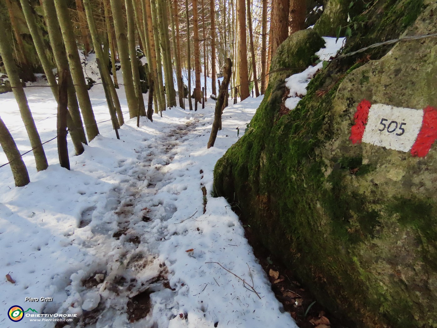 60 Scendo dalla variante alta del sent.505.JPG